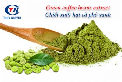 Green coffee beans extract- Chiết xuất hạt cà phê xanh